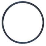 Pentek Big Blue Housing O-Ring #151122