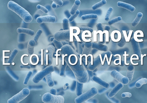 Remove E. coli from water