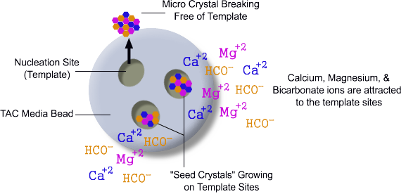 ecoTAC template assisted crystalization