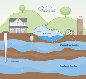 Potential causes of a positive coliform test